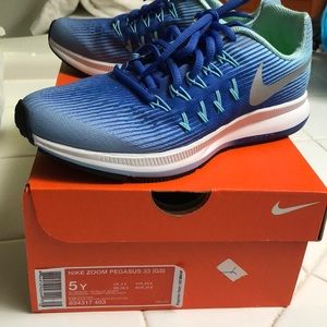 Nike Zoom Pegasus 33